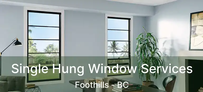  Single Hung Window Services Foothills - BC