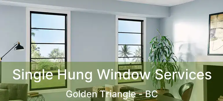 Single Hung Window Services Golden Triangle - BC