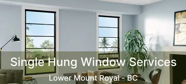  Single Hung Window Services Lower Mount Royal - BC