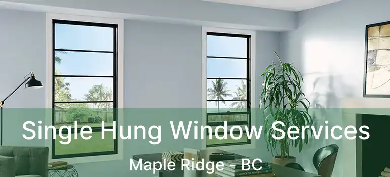  Single Hung Window Services Maple Ridge - BC