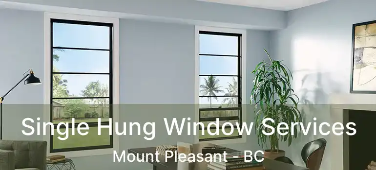  Single Hung Window Services Mount Pleasant - BC