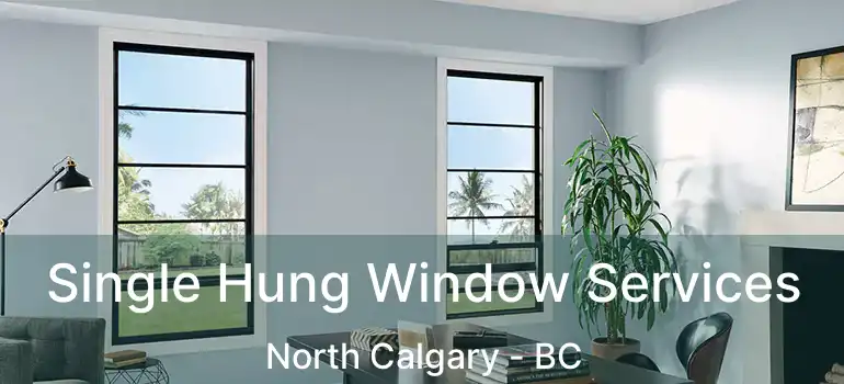  Single Hung Window Services North Calgary - BC