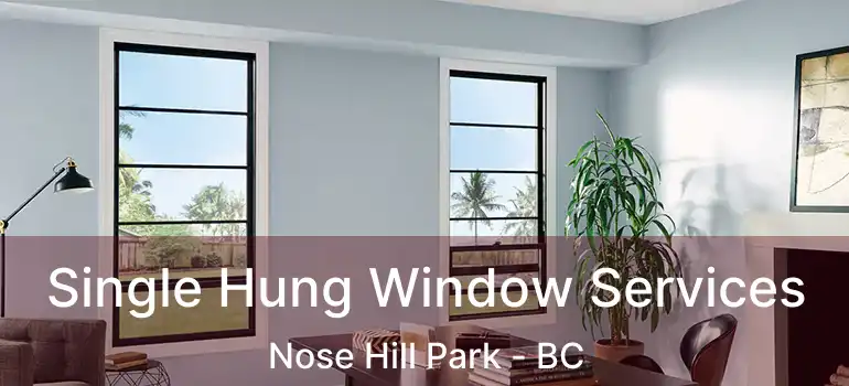  Single Hung Window Services Nose Hill Park - BC