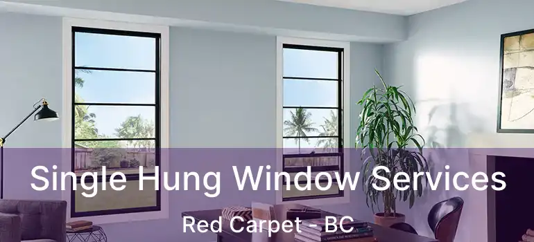  Single Hung Window Services Red Carpet - BC