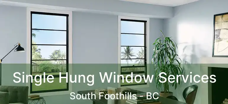  Single Hung Window Services South Foothills - BC