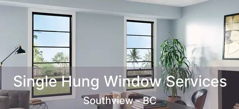  Single Hung Window Services Southview - BC