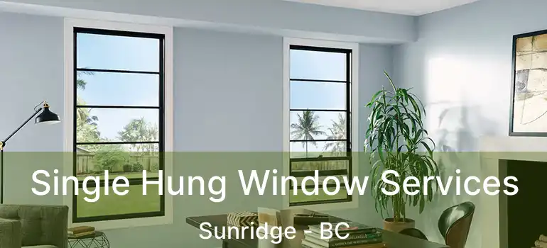  Single Hung Window Services Sunridge - BC