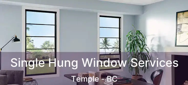  Single Hung Window Services Temple - BC