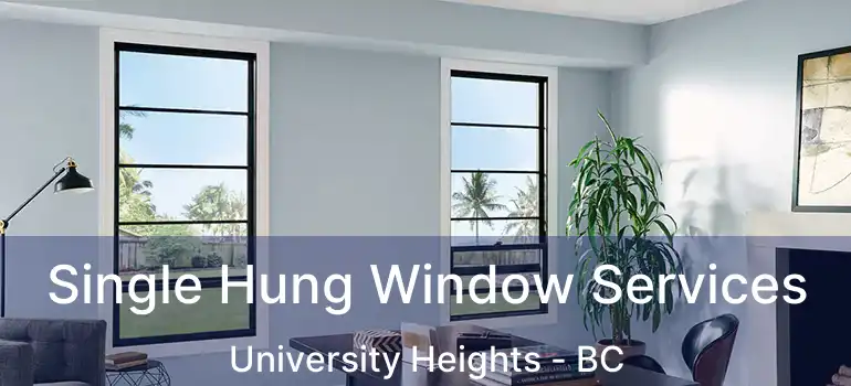  Single Hung Window Services University Heights - BC