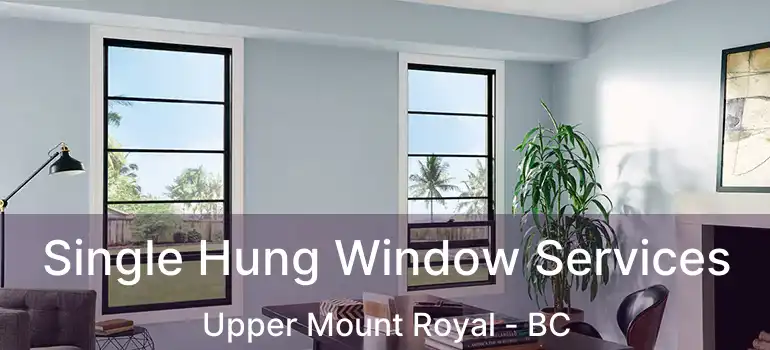  Single Hung Window Services Upper Mount Royal - BC
