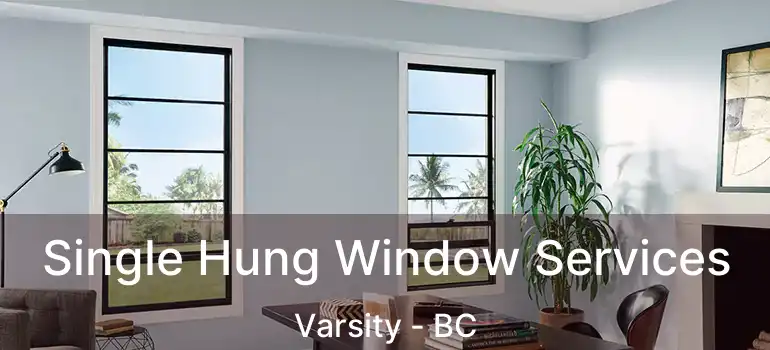  Single Hung Window Services Varsity - BC