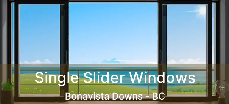  Single Slider Windows Bonavista Downs - BC