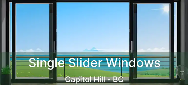  Single Slider Windows Capitol Hill - BC