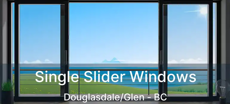  Single Slider Windows Douglasdale/Glen - BC
