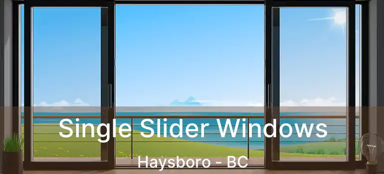 Single Slider Windows Haysboro - BC