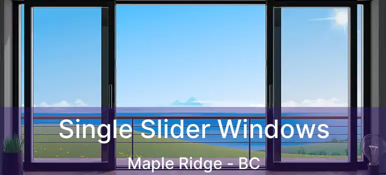  Single Slider Windows Maple Ridge - BC