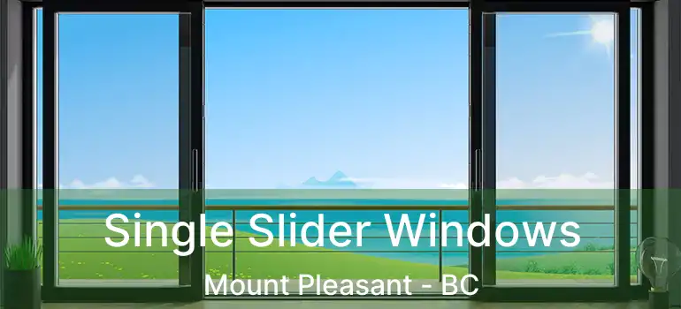  Single Slider Windows Mount Pleasant - BC