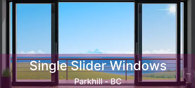  Single Slider Windows Parkhill - BC