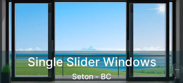  Single Slider Windows Seton - BC