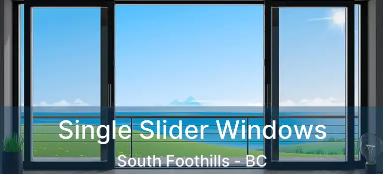  Single Slider Windows South Foothills - BC