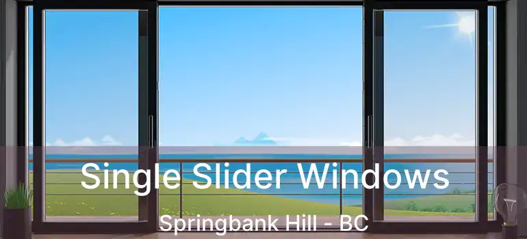  Single Slider Windows Springbank Hill - BC