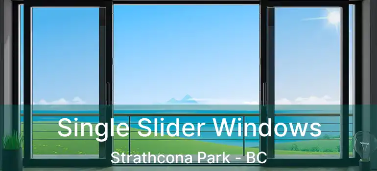  Single Slider Windows Strathcona Park - BC