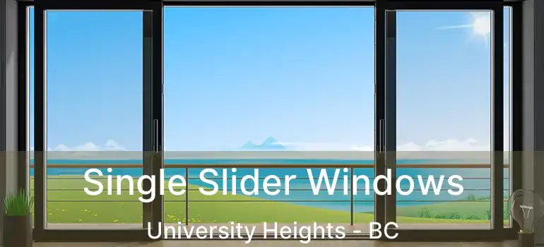  Single Slider Windows University Heights - BC