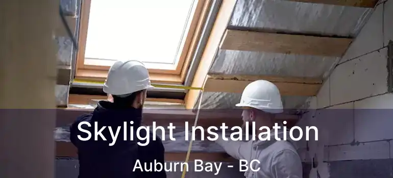  Skylight Installation Auburn Bay - BC