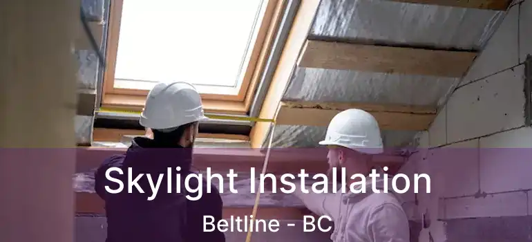  Skylight Installation Beltline - BC