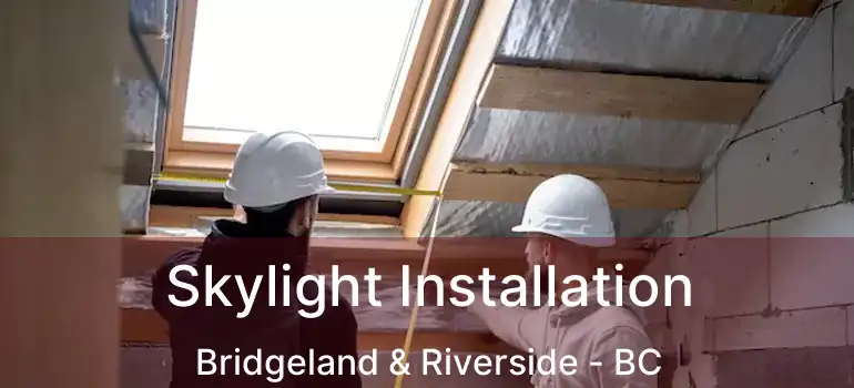  Skylight Installation Bridgeland & Riverside - BC