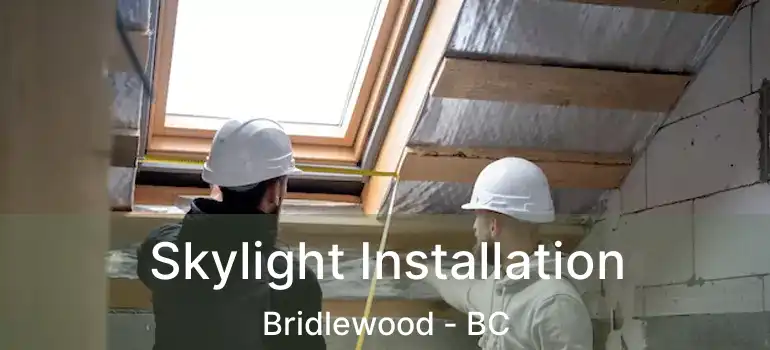  Skylight Installation Bridlewood - BC