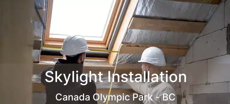  Skylight Installation Canada Olympic Park - BC