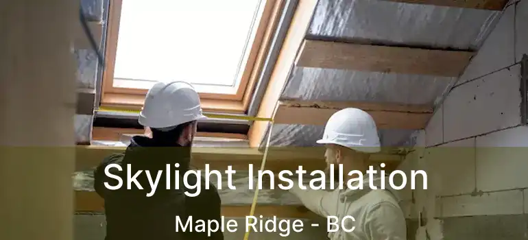  Skylight Installation Maple Ridge - BC