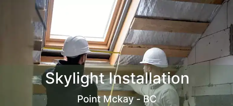  Skylight Installation Point Mckay - BC