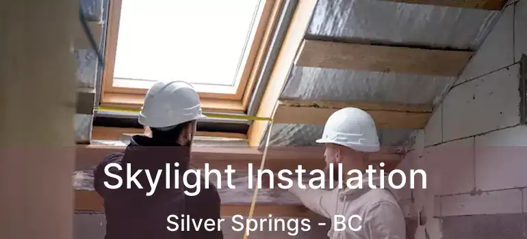  Skylight Installation Silver Springs - BC