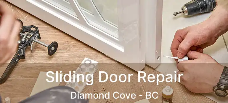  Sliding Door Repair Diamond Cove - BC