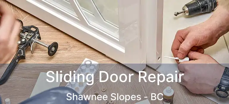  Sliding Door Repair Shawnee Slopes - BC