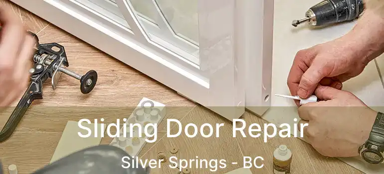  Sliding Door Repair Silver Springs - BC