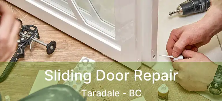  Sliding Door Repair Taradale - BC