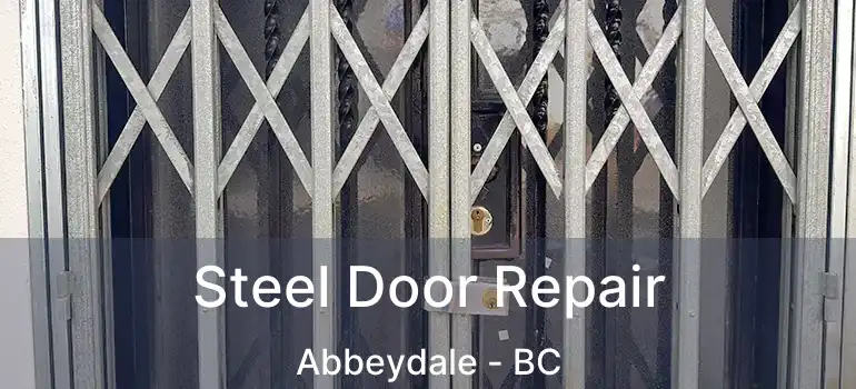  Steel Door Repair Abbeydale - BC