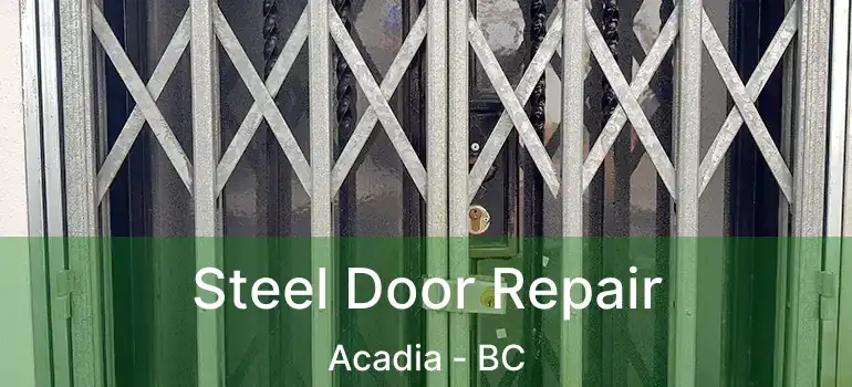  Steel Door Repair Acadia - BC