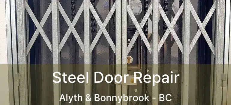  Steel Door Repair Alyth & Bonnybrook - BC