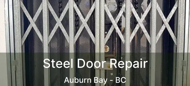  Steel Door Repair Auburn Bay - BC