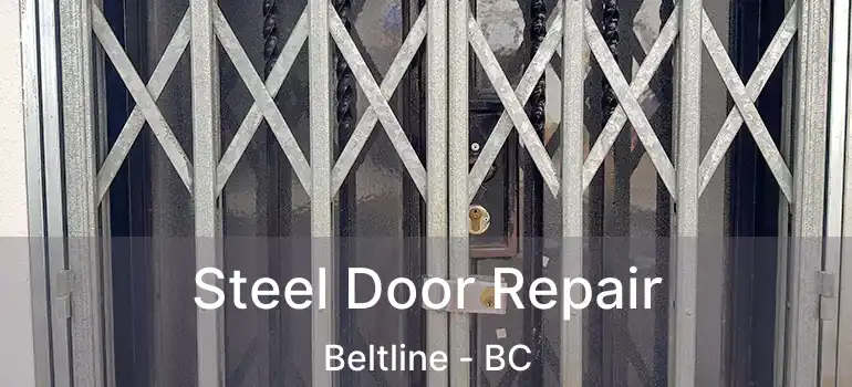  Steel Door Repair Beltline - BC