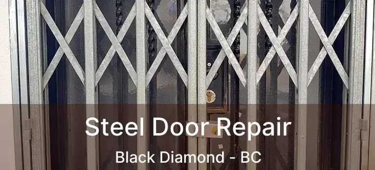  Steel Door Repair Black Diamond - BC