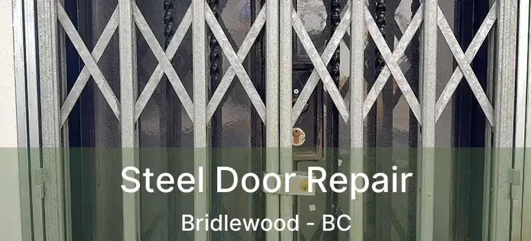  Steel Door Repair Bridlewood - BC