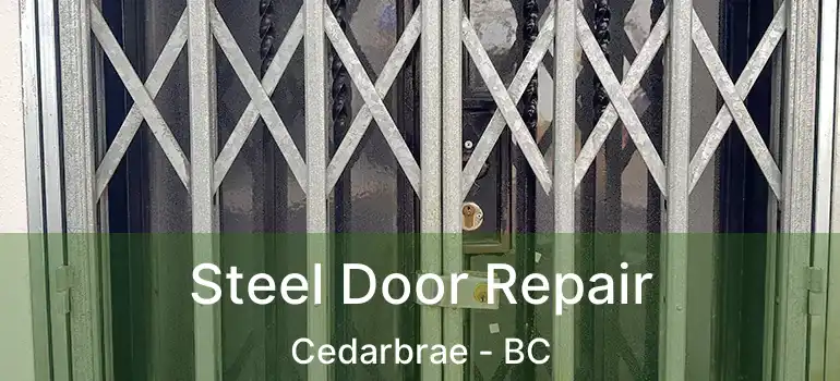  Steel Door Repair Cedarbrae - BC