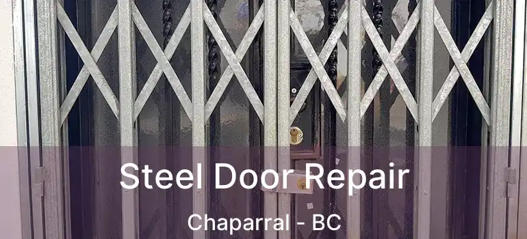  Steel Door Repair Chaparral - BC