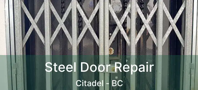  Steel Door Repair Citadel - BC