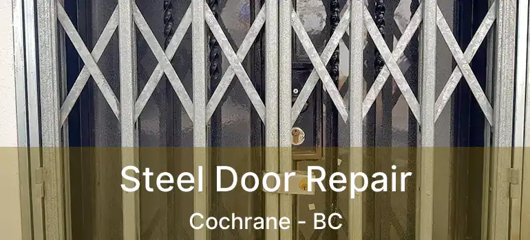  Steel Door Repair Cochrane - BC